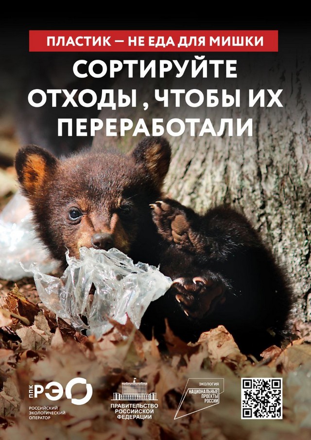 Foto 2024 09 17 19 14 001